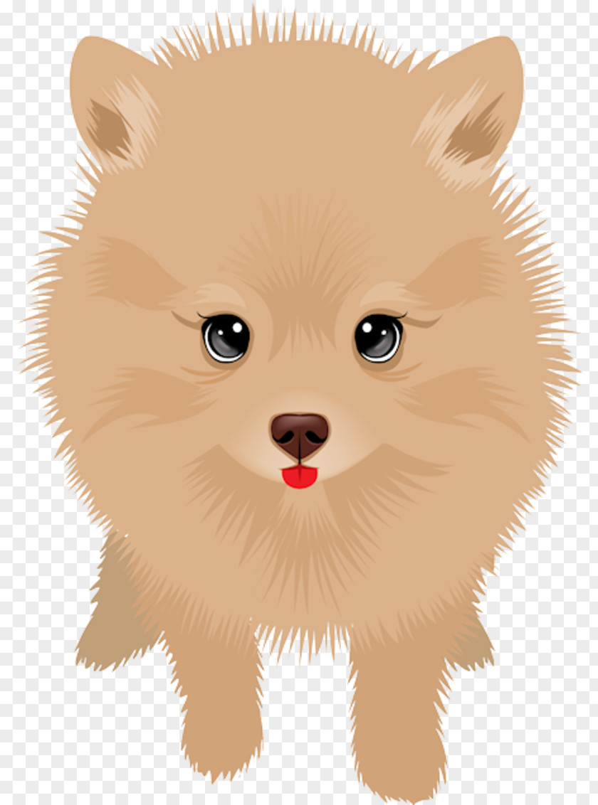 Puppy German Spitz Klein Pomeranian Mittel Finnish PNG