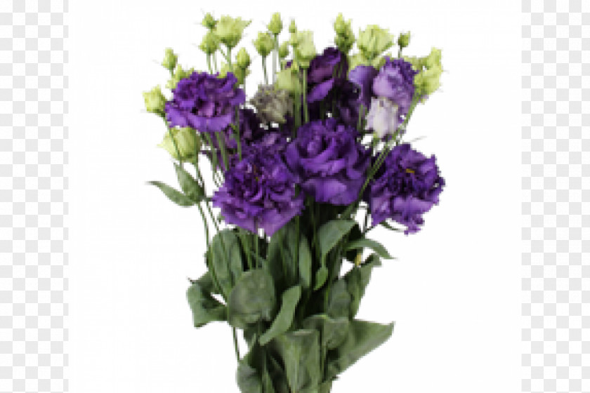 Purple Prairie Gentian Floral Design Cut Flowers PNG