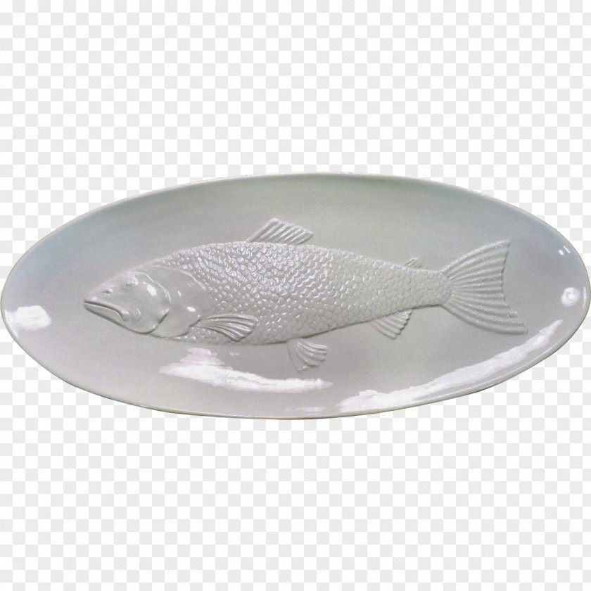 SALMON Platter Tableware Fish PNG