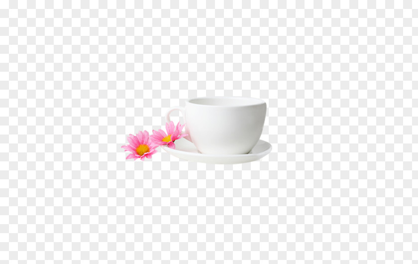 White Cup Coffee PNG