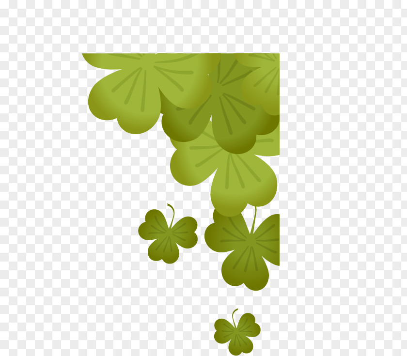 Wildflower Wood Sorrel Family Saint Patricks Day PNG