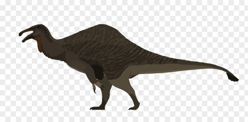 Barosaurus Beak Velociraptor Flightless Bird Tyrannosaurus PNG