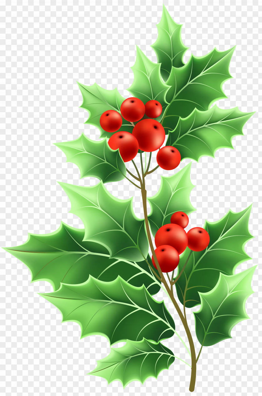 Christmas Mistletoe Transparent Clip Art Image File Formats Lossless Compression PNG