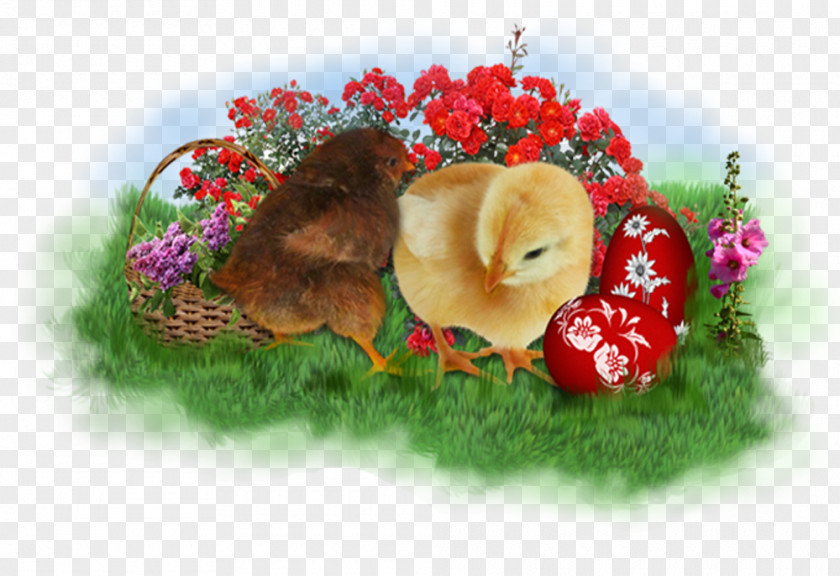 Easter Bunny Postcard Basket Clip Art PNG