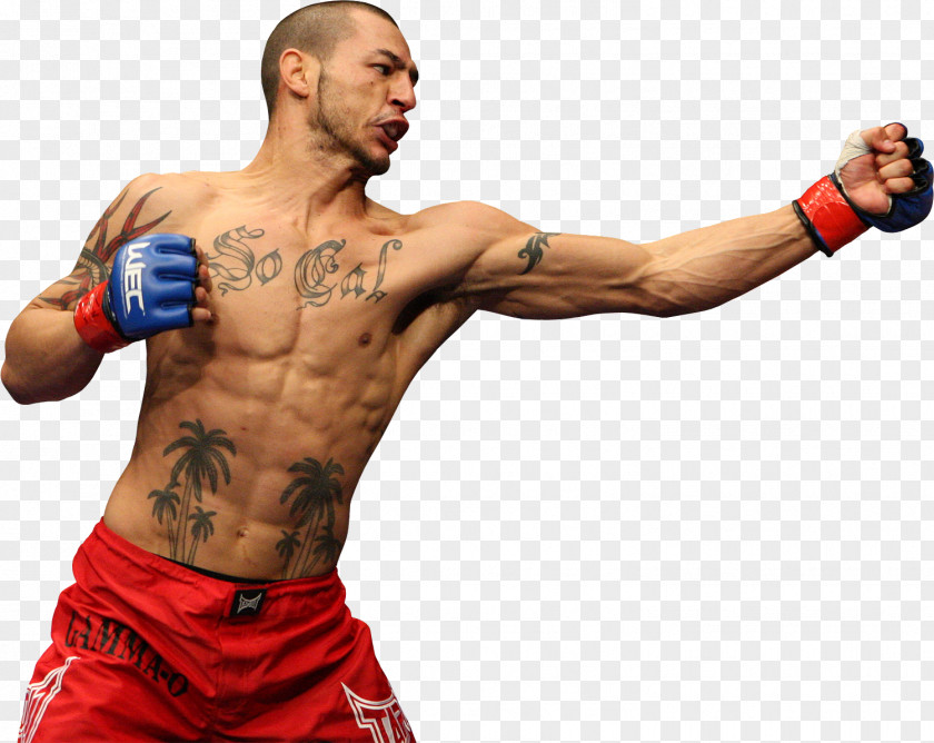 Mma Combat Sport Ultimate Fighting Championship Boxing Mixed Martial Arts PNG