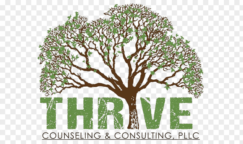 Thrive Counseling & Consulting, PLLC Mental Health Counselor Family Therapy Addictions Services Military PNG