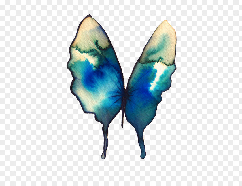 Acuarela Butterfly Watercolor Painting Drawing Turquoise PNG