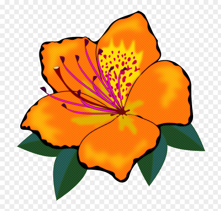 Flowering Plant Orange PNG