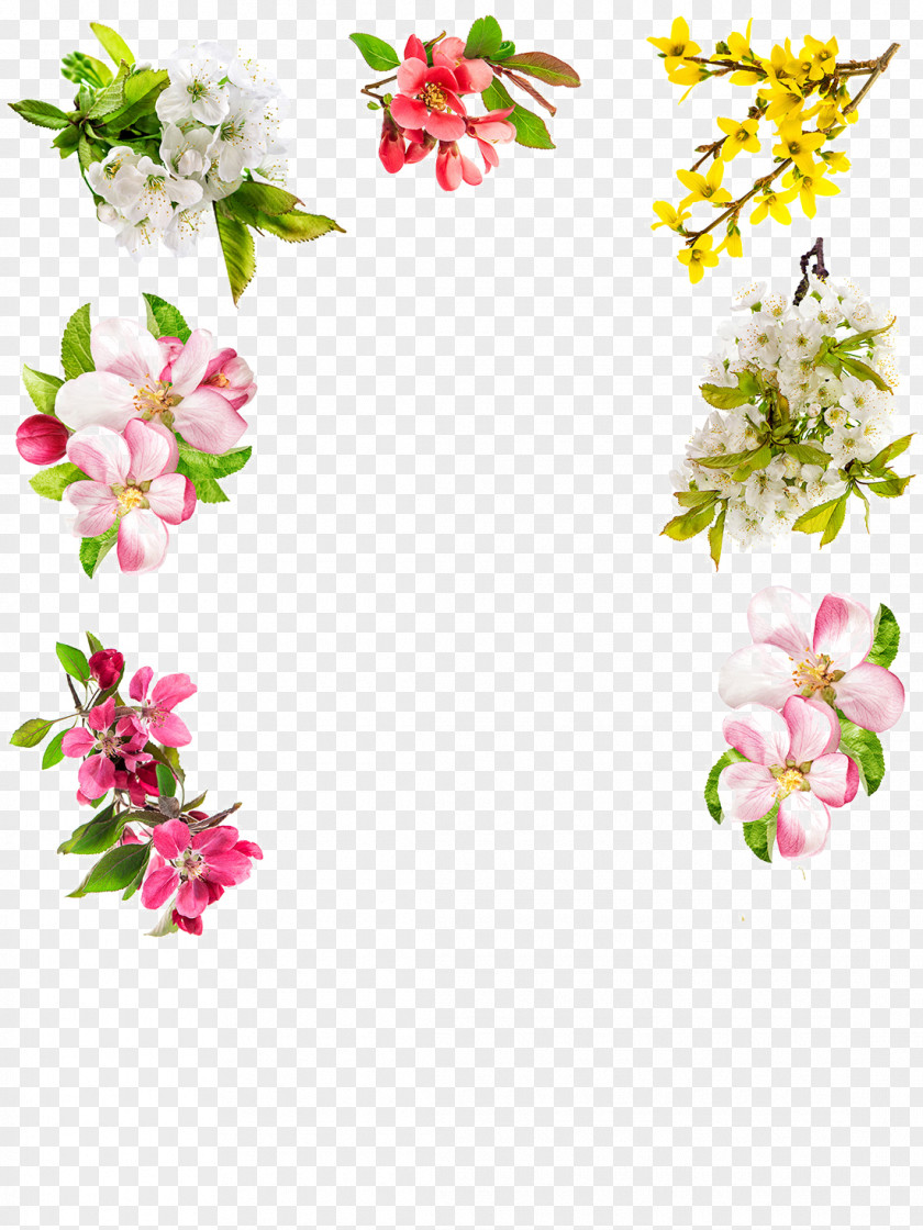 Flowers Plant Material Floral Design Blossom Stock Photography Flower PNG