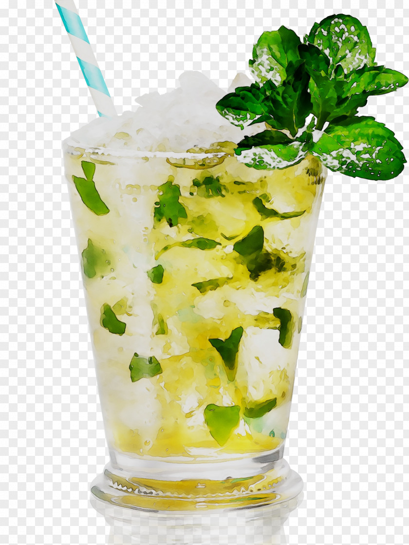 Mojito Cocktail Garnish Limonana Mai Tai Mint Julep PNG