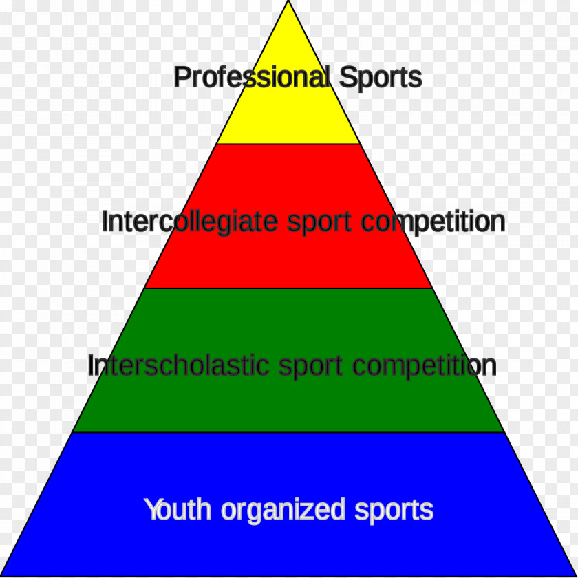 SPORT STATISTICS Student Athlete Sport College Athletics PNG