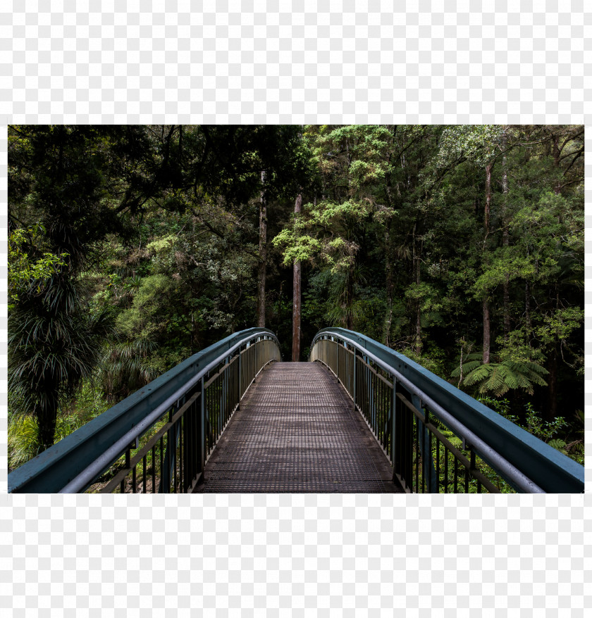 Wooden Bridge Landscape Photography PNG