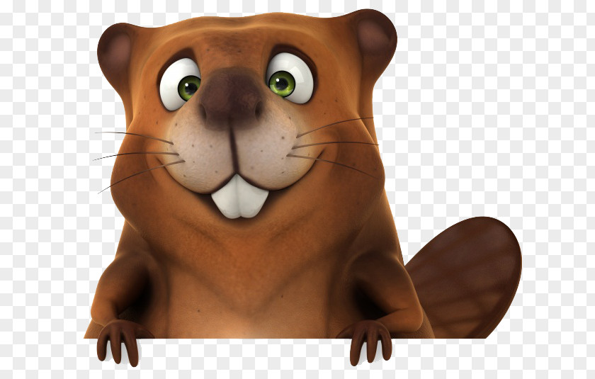 Brown Squirrel Beaver Stock Photography Royalty-free Icon PNG