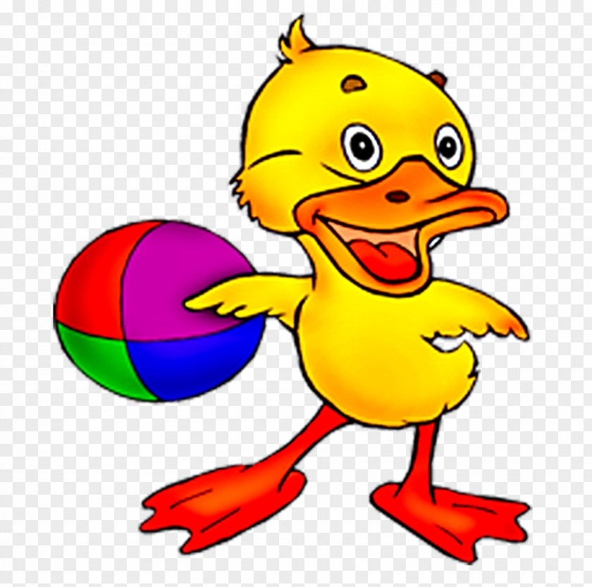 Goose Beak Cygnini Clip Art Duck PNG