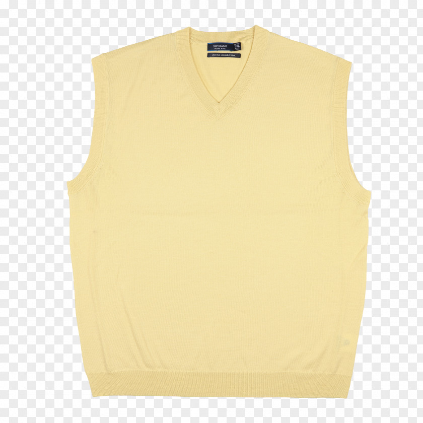Hooddy Jumper Gilets Product Design Sleeveless Shirt PNG