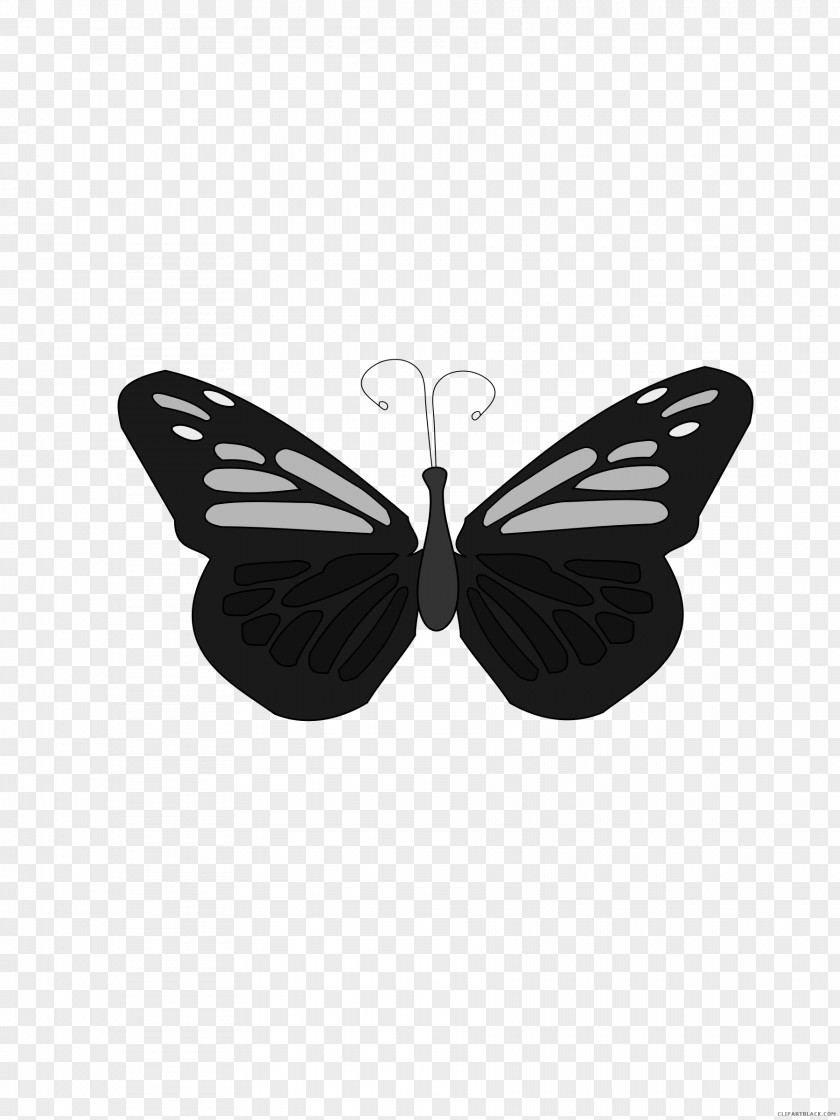 Insect Brush-footed Butterflies Monarch Butterfly Clip Art PNG