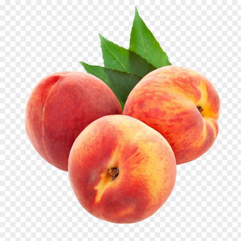Peach Fruit Saturn Orange Clip Art PNG
