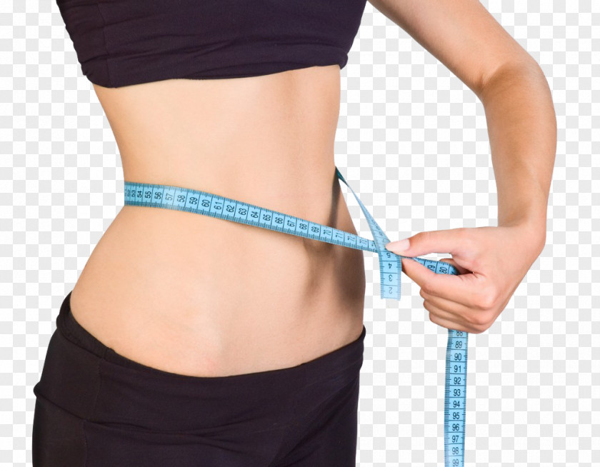 Weight Loss Conjugated Linoleic Acid Liposuction Adipose Tissue Cryolipolysis PNG