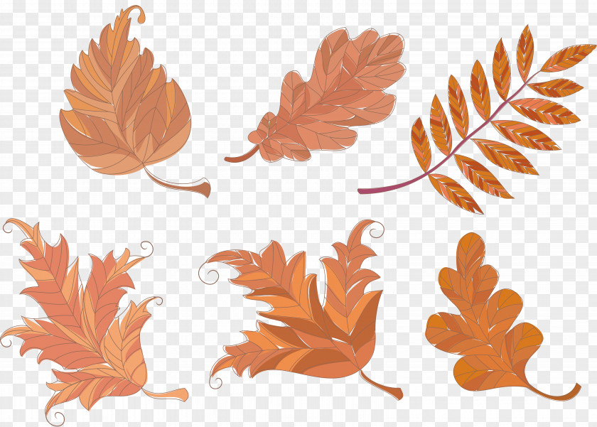Autumn Leaves Leaf Petal Yellow Clip Art PNG