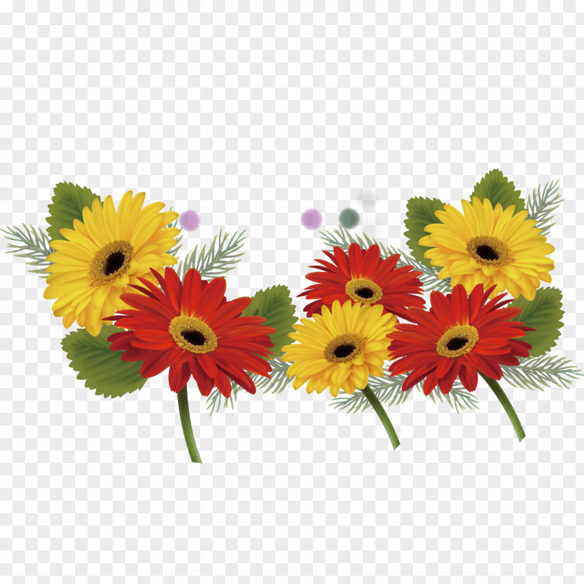 Beautiful Chrysanthemum PNG