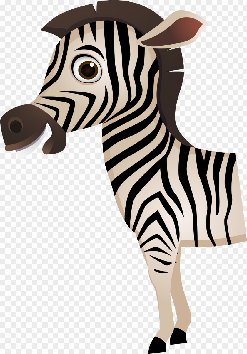 Cartoon Zebra PNG