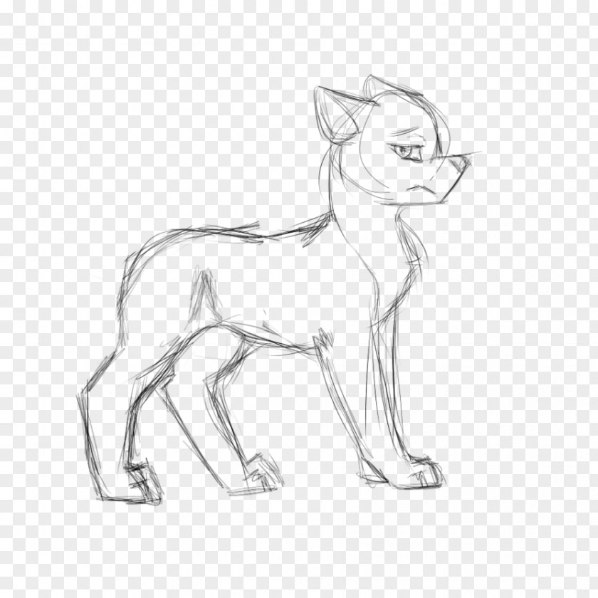 Cat Whiskers Dog Breed Sketch PNG