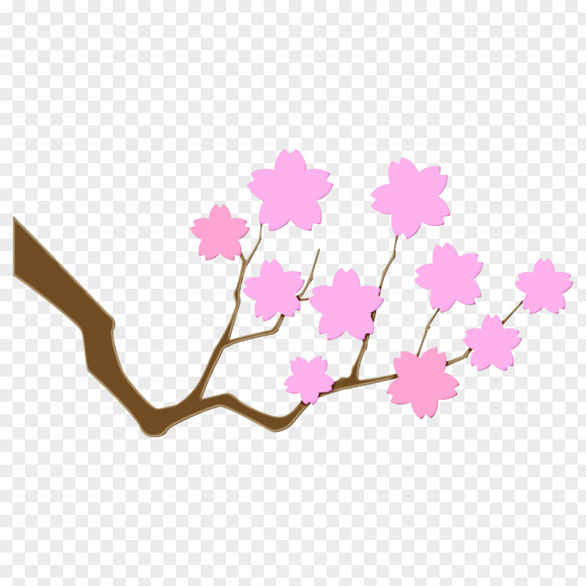 Twig Tree Cherry Blossom PNG