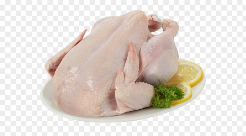 Chicken As Food Hainanese Rice White Cut Meat PNG