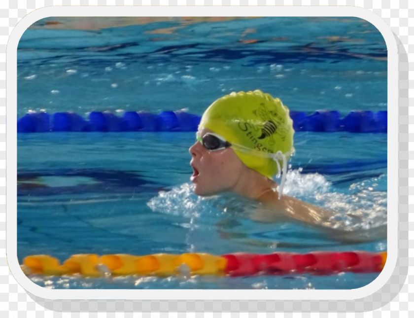 Swimming Training Swim Caps Freestyle Water Pool PNG