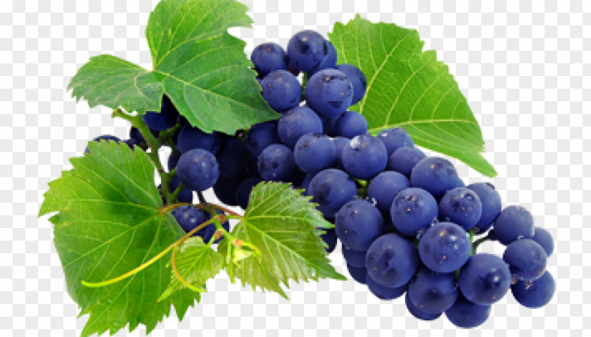 Wine Grape Juice Grapevines Nebbiolo PNG