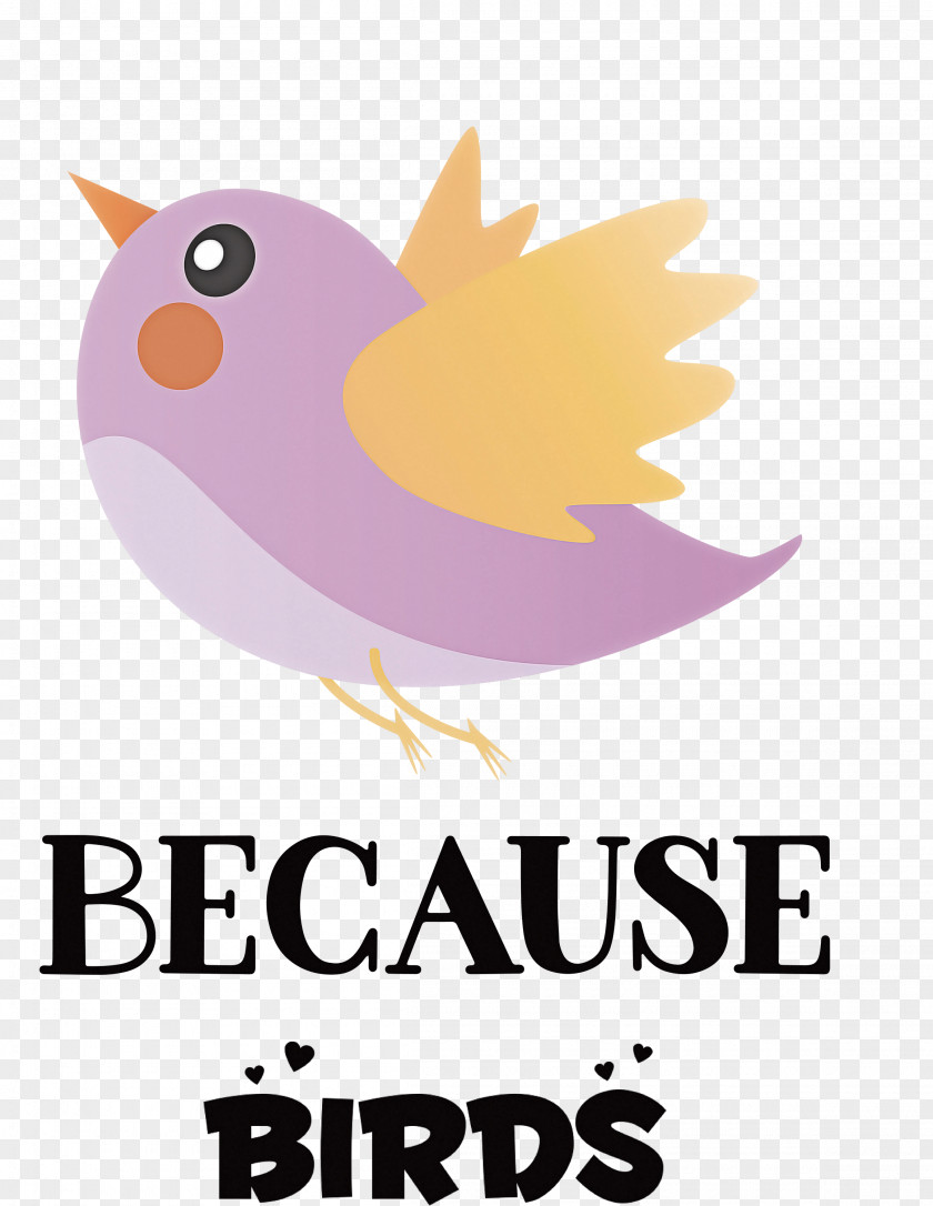 Because Birds Bird Animal PNG