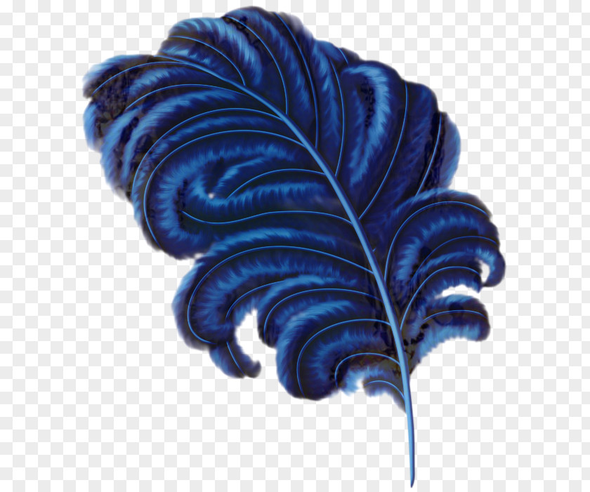 Feather Electric Blue Leaf Drawing PNG