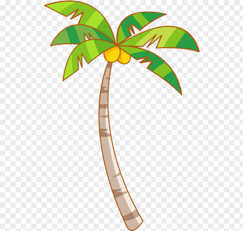 Simple Hand-painted Palm Tree Green Coconut Yellow Arecaceae PNG