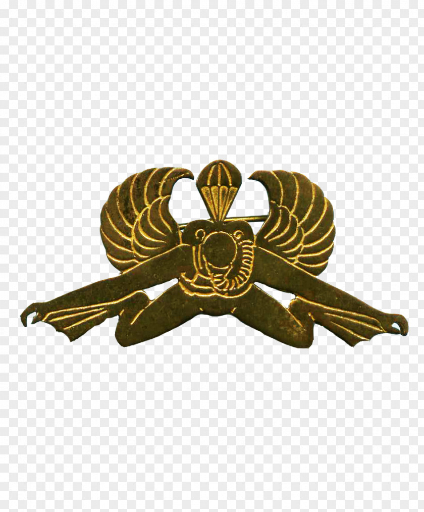 Afrika Korps 01504 Insect Symbol Membrane PNG