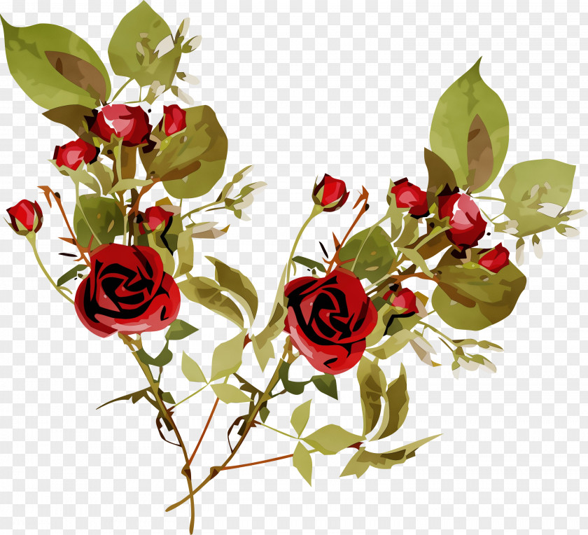 Floral Design PNG