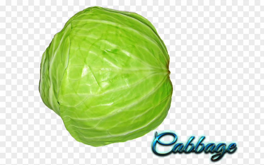 Vegetable Capitata Group Clip Art PNG