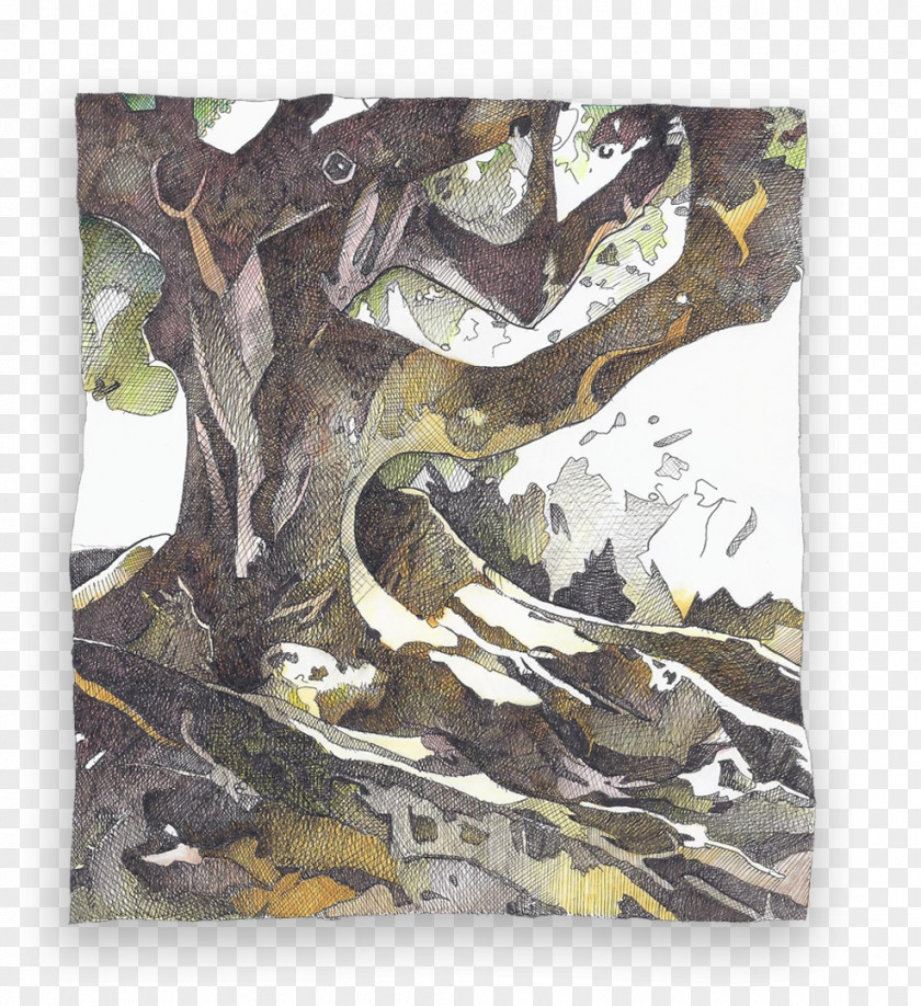 Fauna Camouflage Leaf Branching PNG