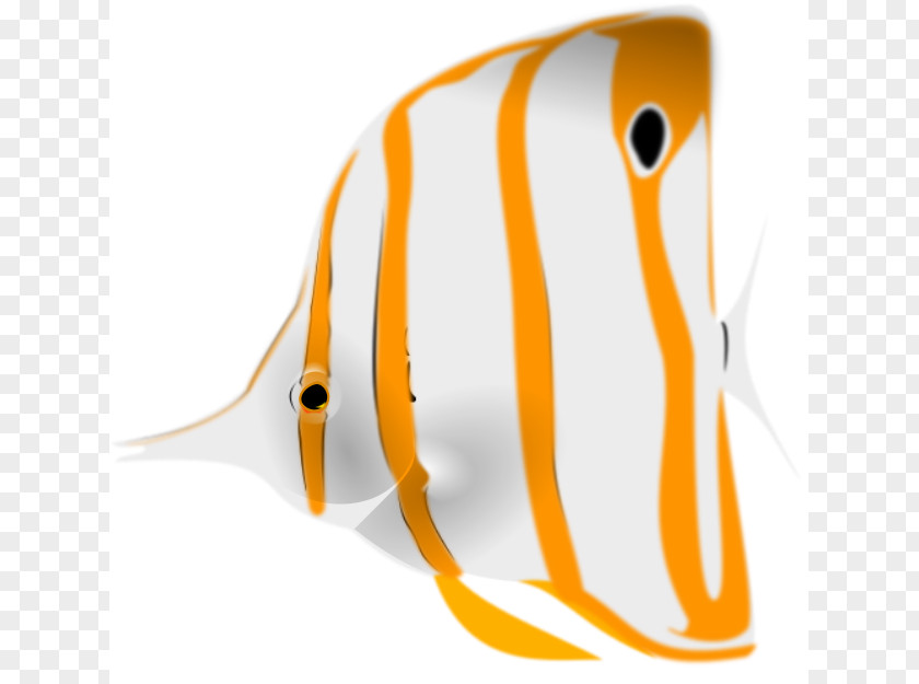 Mailed Cliparts Fourspot Butterflyfish Copperband Clip Art PNG