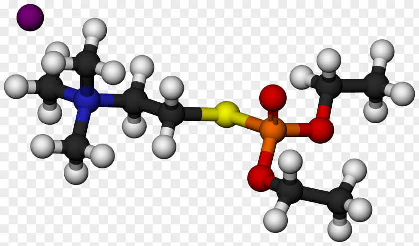 Molecule Chemistry Echothiophate Acetylcholine PubChem PNG