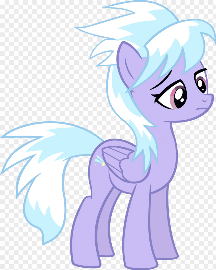 My Little Pony Pony: Friendship Is Magic Fandom Cloudchaser PNG