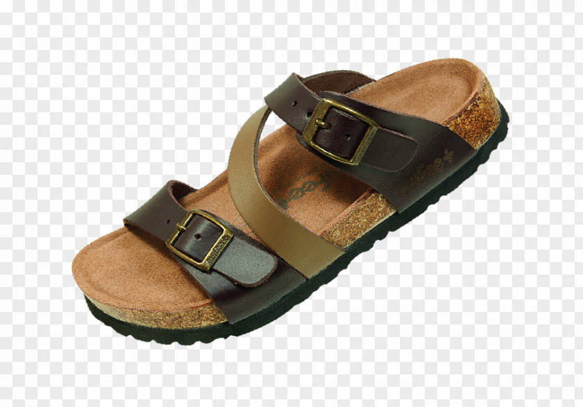 Problems Slide Sandal Shoe Brown Walking PNG