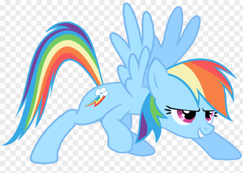 Rainbow Dash Twilight Sparkle Pinkie Pie Applejack Rarity PNG