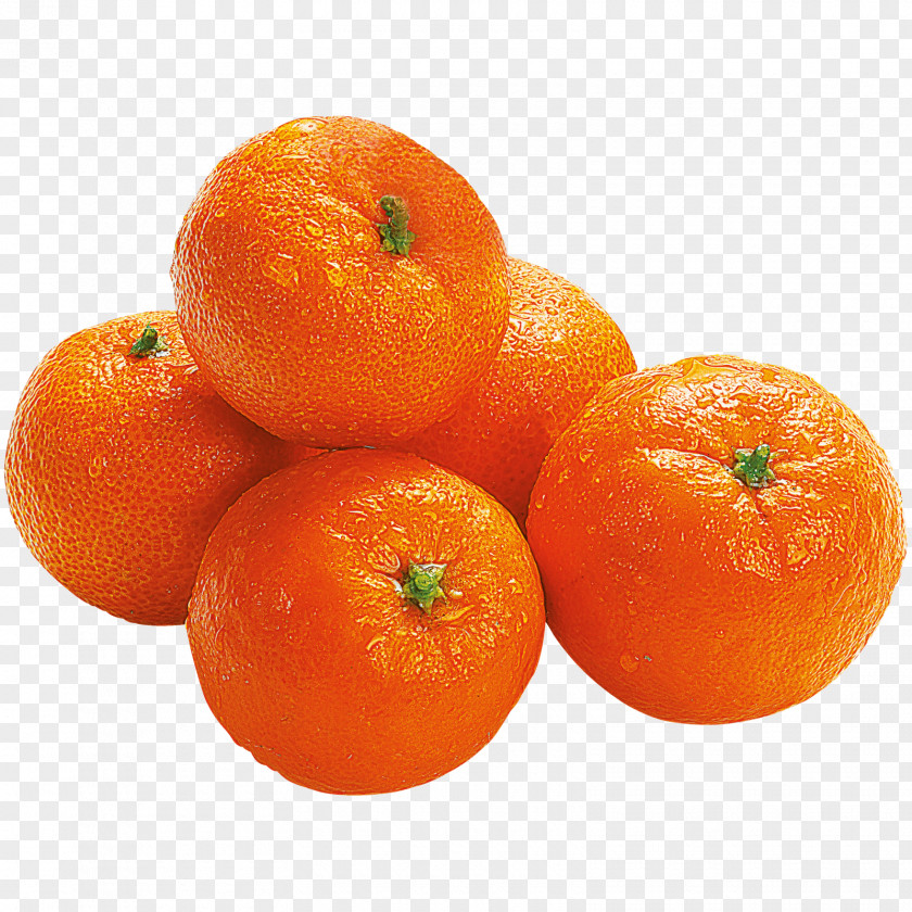 Orange Clementine Mandarin Tangerine Rangpur Tangelo PNG