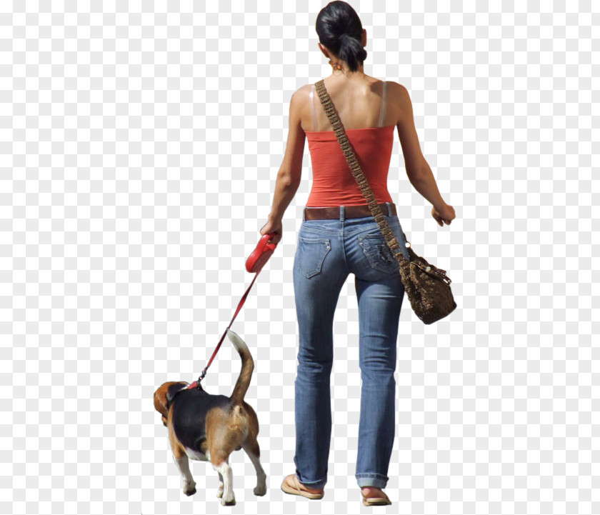 Photo Of People Walking Dog Clip Art PNG