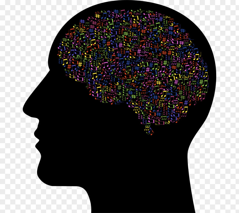 Psychology Clipart Metacognition Human Brain Clip Art Biology Vector Graphics PNG