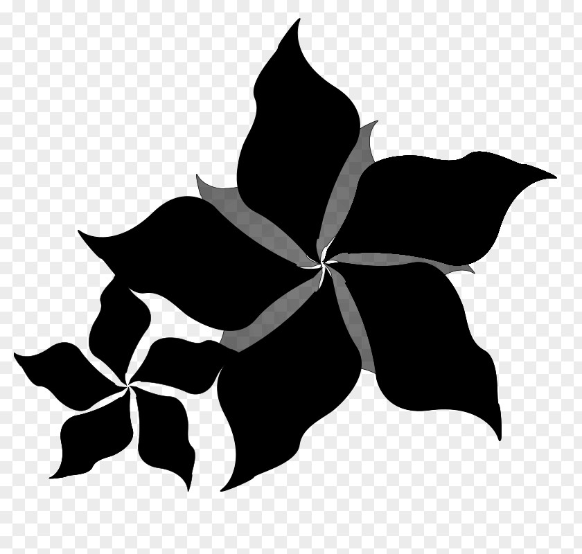 Symmetry Font Leaf Flowering Plant Plants PNG