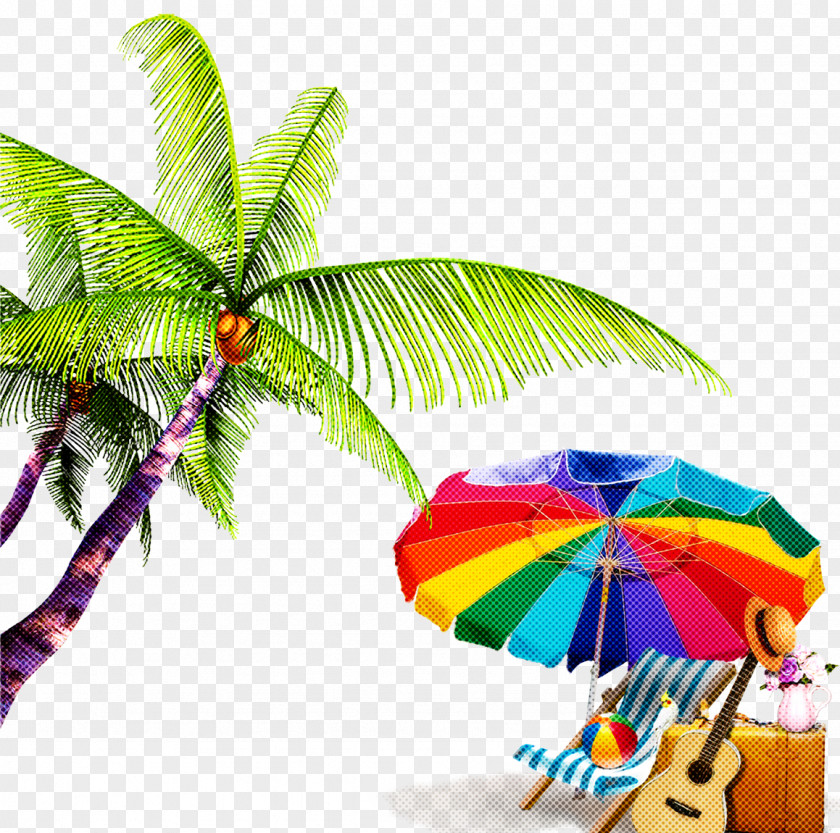 Tropics Fashion Accessory Palm Tree PNG