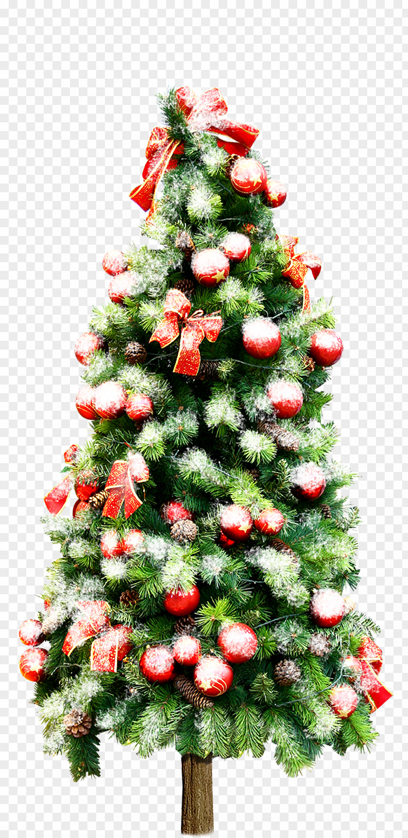 Beautiful Christmas Tree Material Ornament Card PNG
