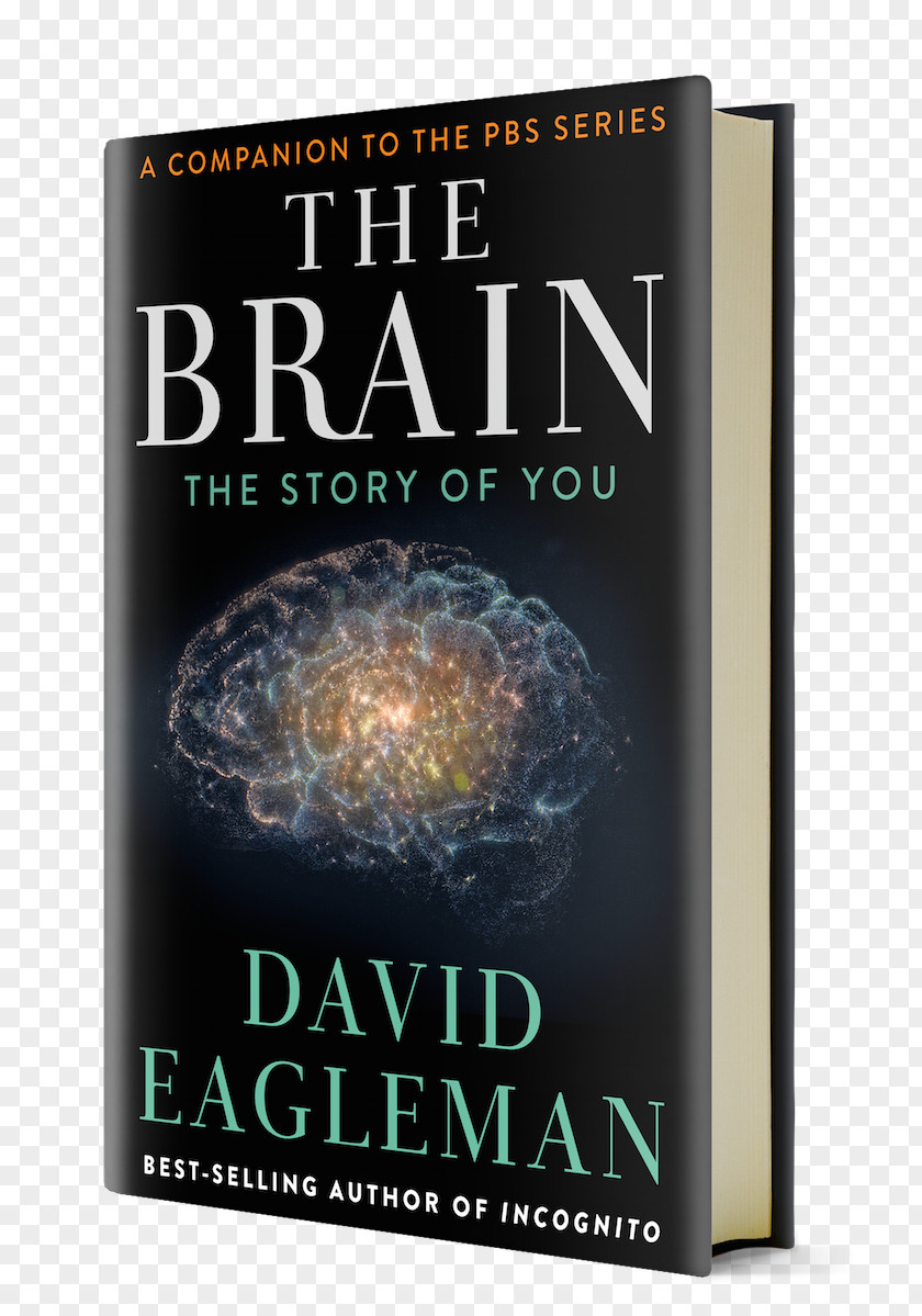 Brain The Brain: Story Of You Incognito: Secret Lives Human Book Amazon.com PNG