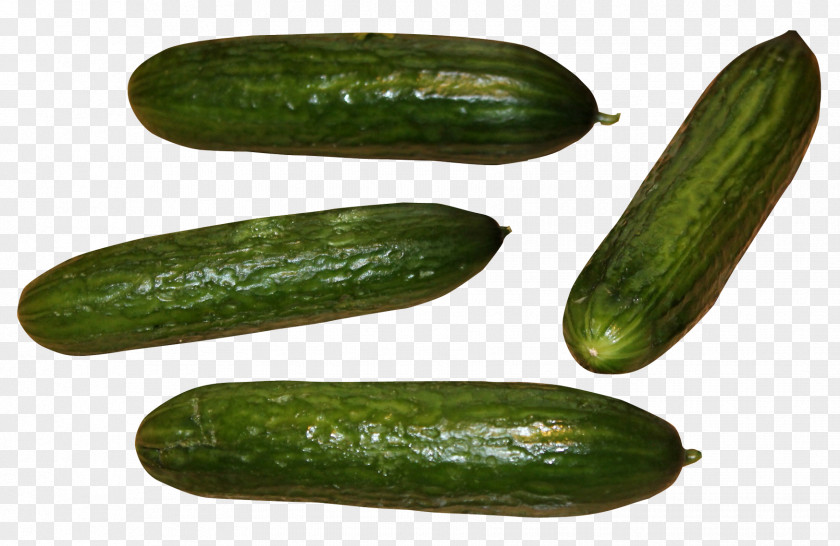 Cucumber Sushi Slicing Spreewald Gherkins Pickled PNG